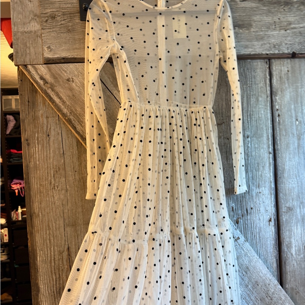 L&B Sheer Cream Long Sleeve Dress with Black Polka Dots